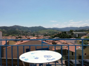 Appartement agréable avec vue dégagée sur banyuls